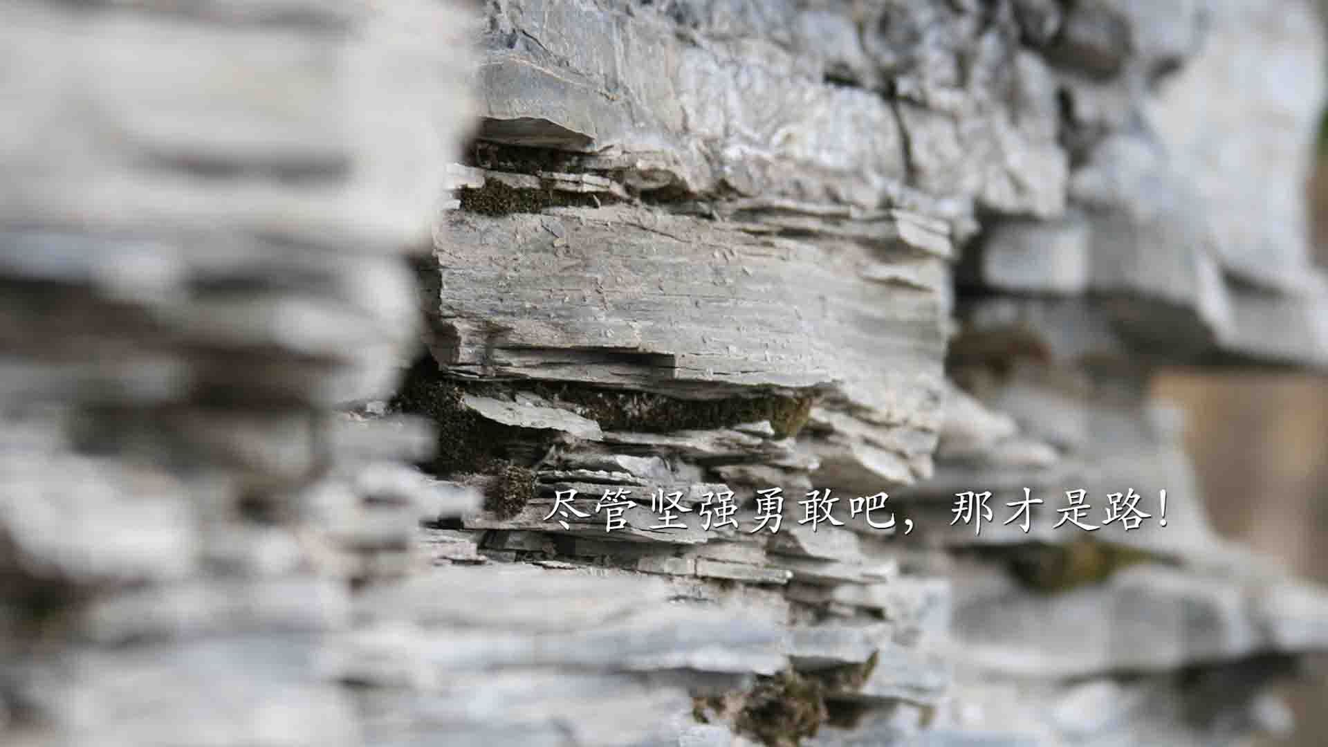 青少年赛事缺少伤病数据归档分析体系