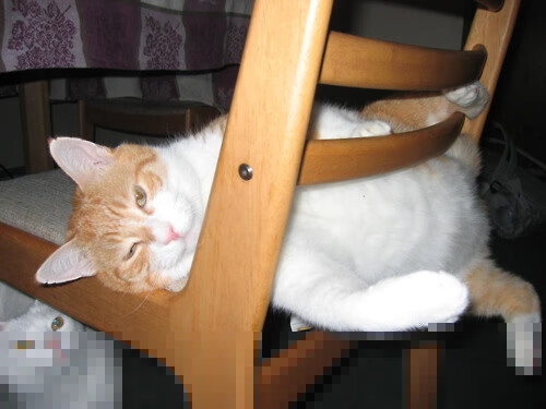 世界杯逆转传奇：英雄瞬间震撼全场！，世界杯首场逆转