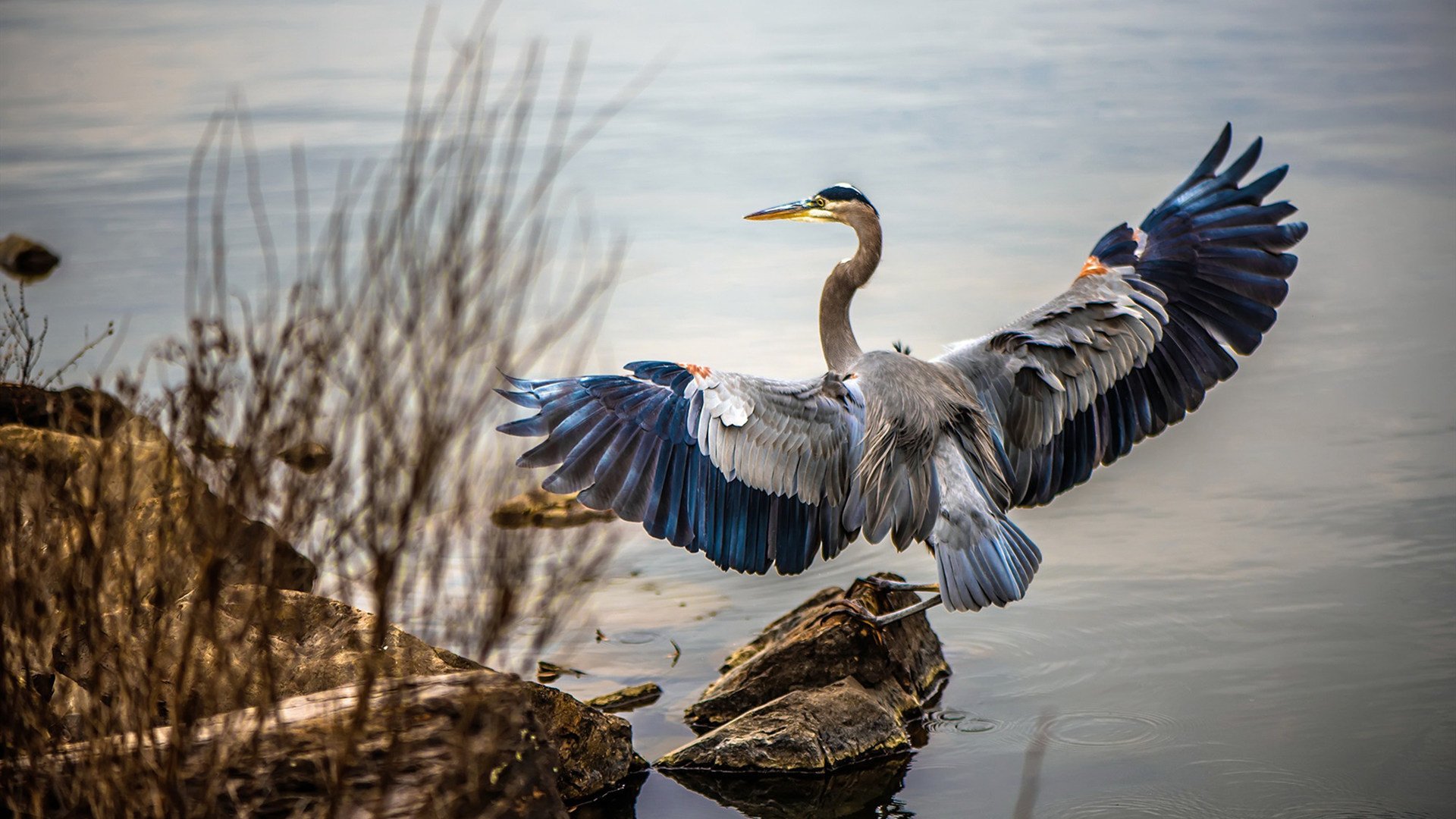 中国足协公布全新品牌形象主打现代与国际元素，中国足协官宣