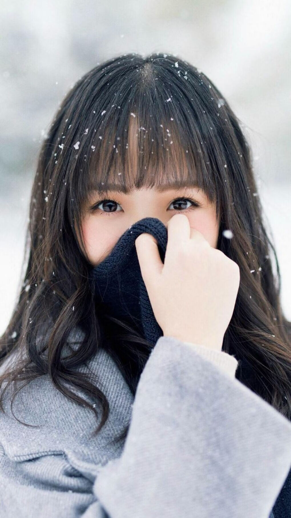 伊朗男篮在亚洲预赛中奋勇拼搏，迈向奥运奖牌梦，伊朗男篮近期战绩